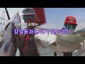 2407 5  농어와 감성돔은 만날 수 있다   김태풍낚시,1004대교,신안군 농어,감성돔