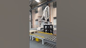 Fully auto packing line including pallet dispenser,robot palletizer,strapping and wrapping system