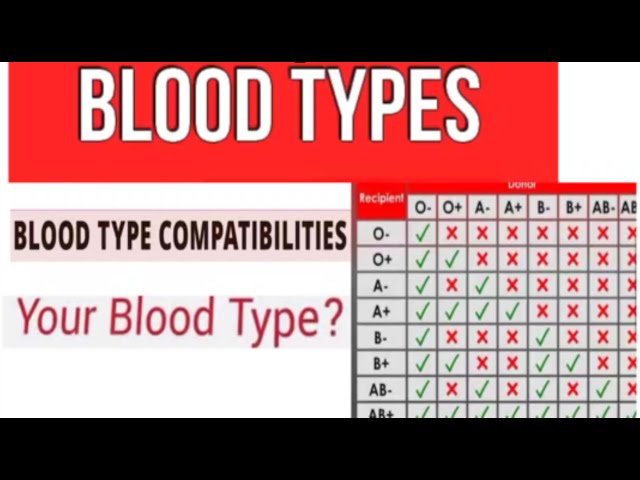 Blood: Types and Compatibility in Transfusions - AnthroMania