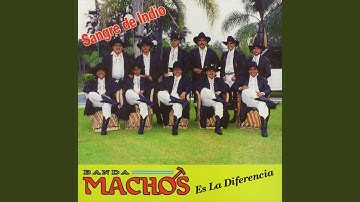 Escuadras del sur