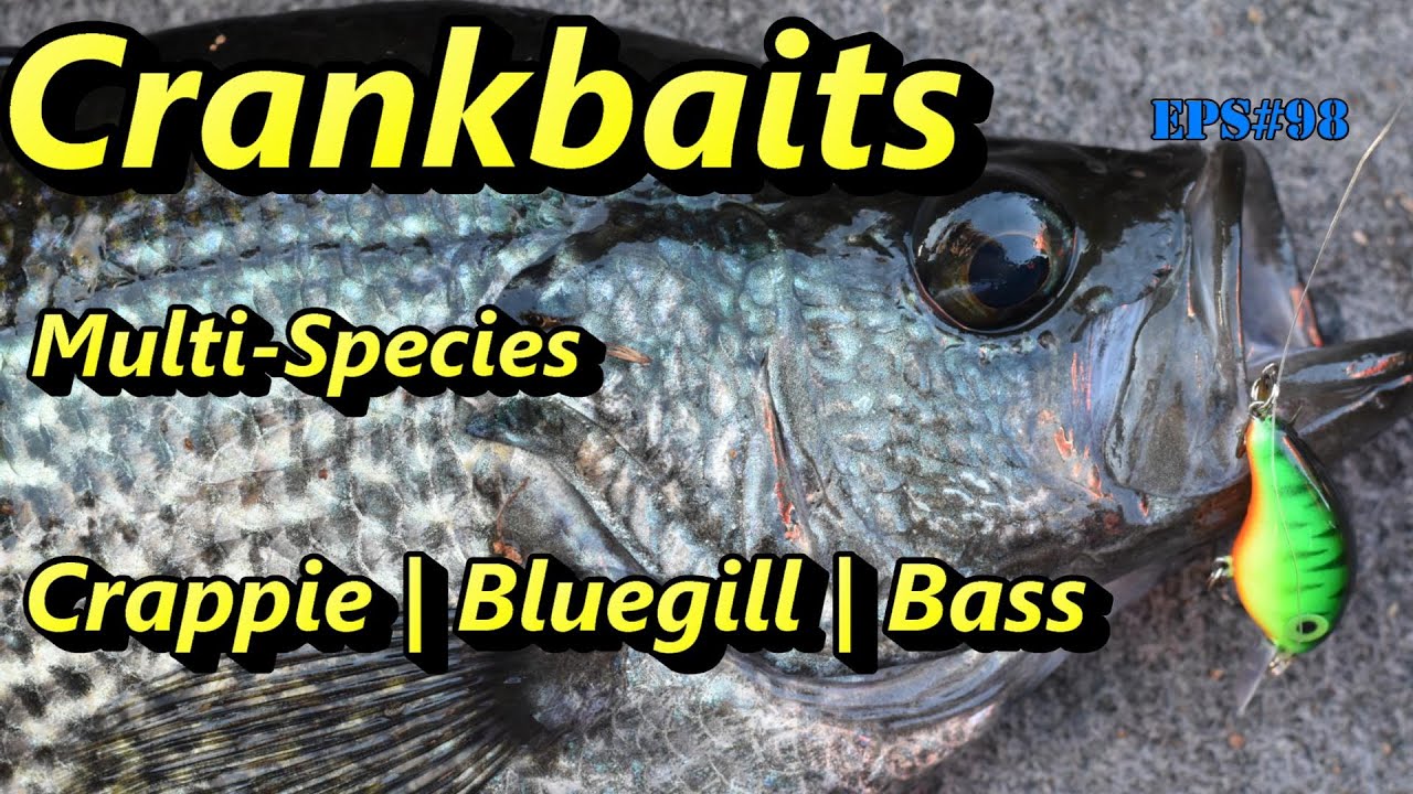 Eps#103 - Crankbaits for Crappie, Bream and Bass! 
