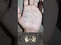 Rajyoga money line in your palm rajyoga king astrology palmistry