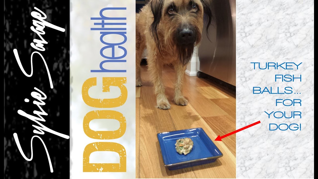 Homemade dog food Turkey Fish balls YouTube