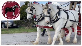 TRADE PAIRS CLASS! National Shire Horse Show in ENGLAND (Episode 9) Apollo The Shire