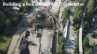 I 405 Bellevue Renton Construction   by TSkillman
