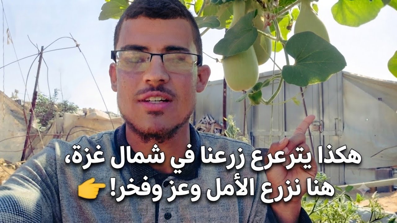 من قلب الحصار.. هكذا نزرع الأمل ونصنع الحياة في شمال غزة! 🇵🇸🌱
