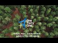 People, Pines, and Protection: Safety in Tree Harvesting