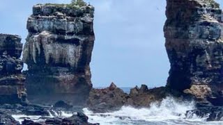 Galapagos, crolla l'arco di roccia dedicato a Charles Darwin: Il colpevole L'erosione