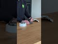 AXIS IP Kamera, zerlegt