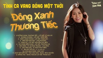 Những Bản Tình Ca Vang Bóng Một Thời | Lk Đồng Xanh, Thương Tiếc, Donna Donna | Sao Mai Official