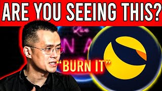 Terra Luna Classic Burn: Millions To be Made? Here is The Truth...