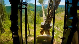 Slick Fir On Steep Ground! Cutting A Yarder Block Near Willamina, Oregon