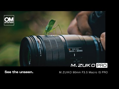 Lens News photo