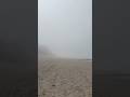 #walking #sea #fog #beach