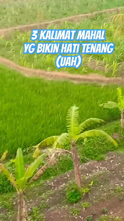 Ada 3 kata/kalimat Mahal yg bikin hati tenang#Uah#Uas#Udl#ceramahsingkatislam #ceramahpendek