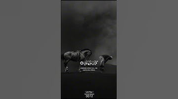 قرآن كريم | #تلاوة_خاشعة #اكسبلور #لايك #duet #راحة_نفسية #حالات_واتس #عبدالرحمن_مسعد