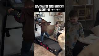 "런닝머신에 발 올렸다가 날아간 강아지 ㅋㅋ 그리고 복수까지?"