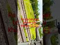 ब्यूटीफुल 🌺🌺🌹 फ्लावर in assam #viral