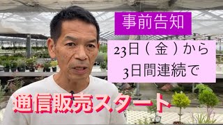 23日から  3日間連続で  通信販売  スタートします  植物家族  観葉植物  宿根草  事前告知【おうちでガーデニング】開花園チャンネル