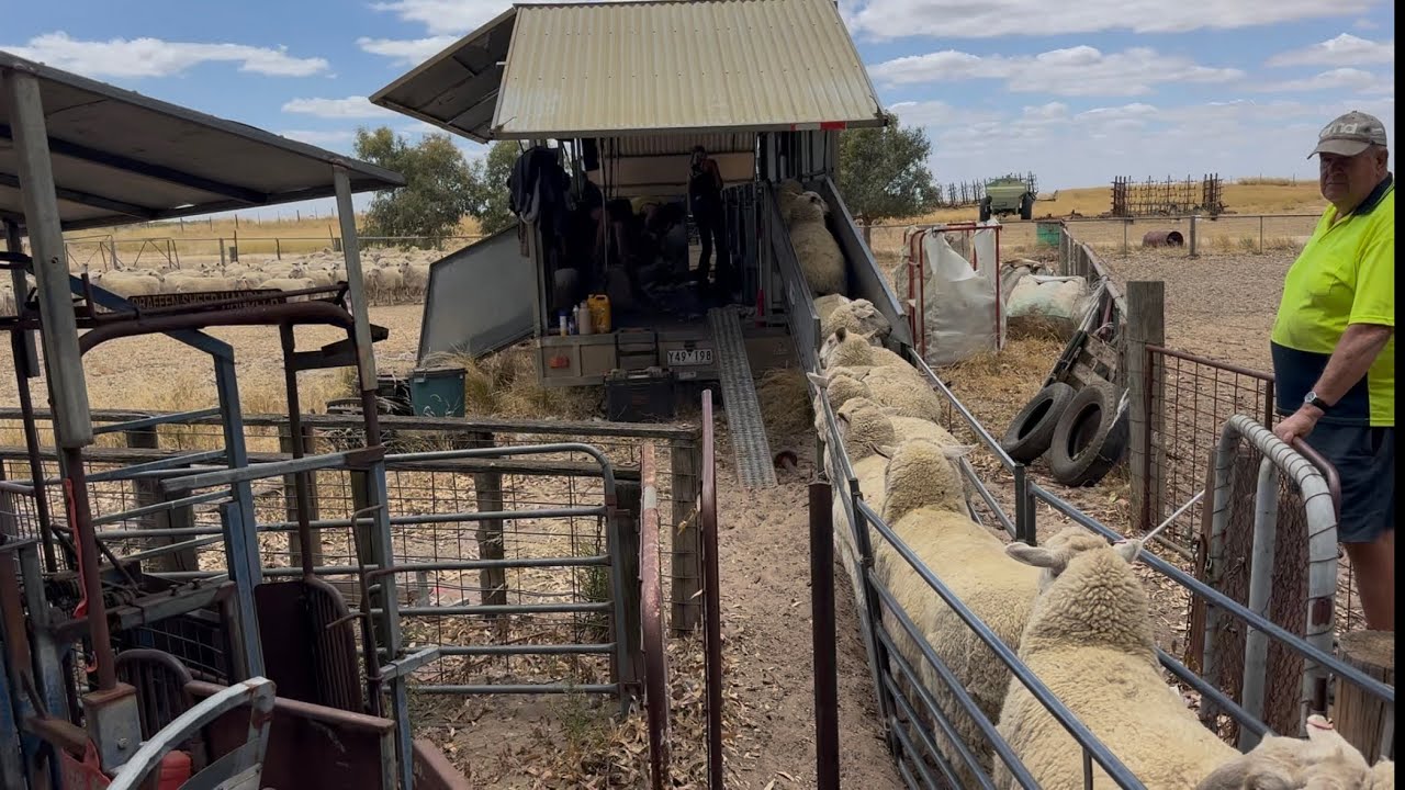 Передвижение на костылях | 8-я неделя 2026 года