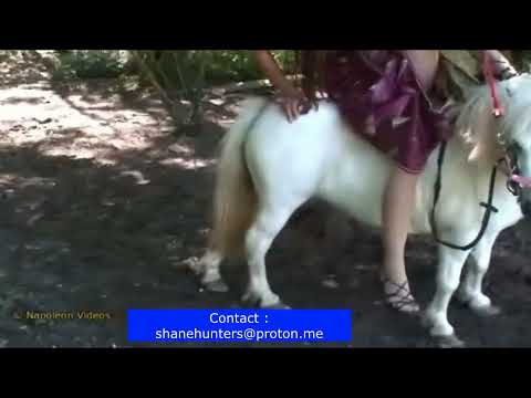 Pony Riding | Pony Reiten ✅✅✅