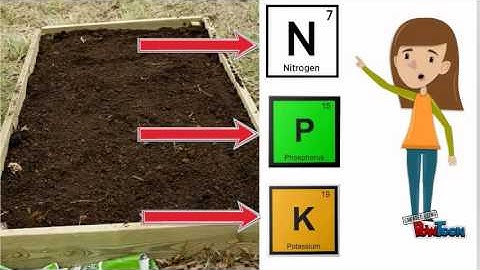 Design and technology: Building a Vegetable Patch