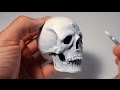 Human Skull. Sculpting Process