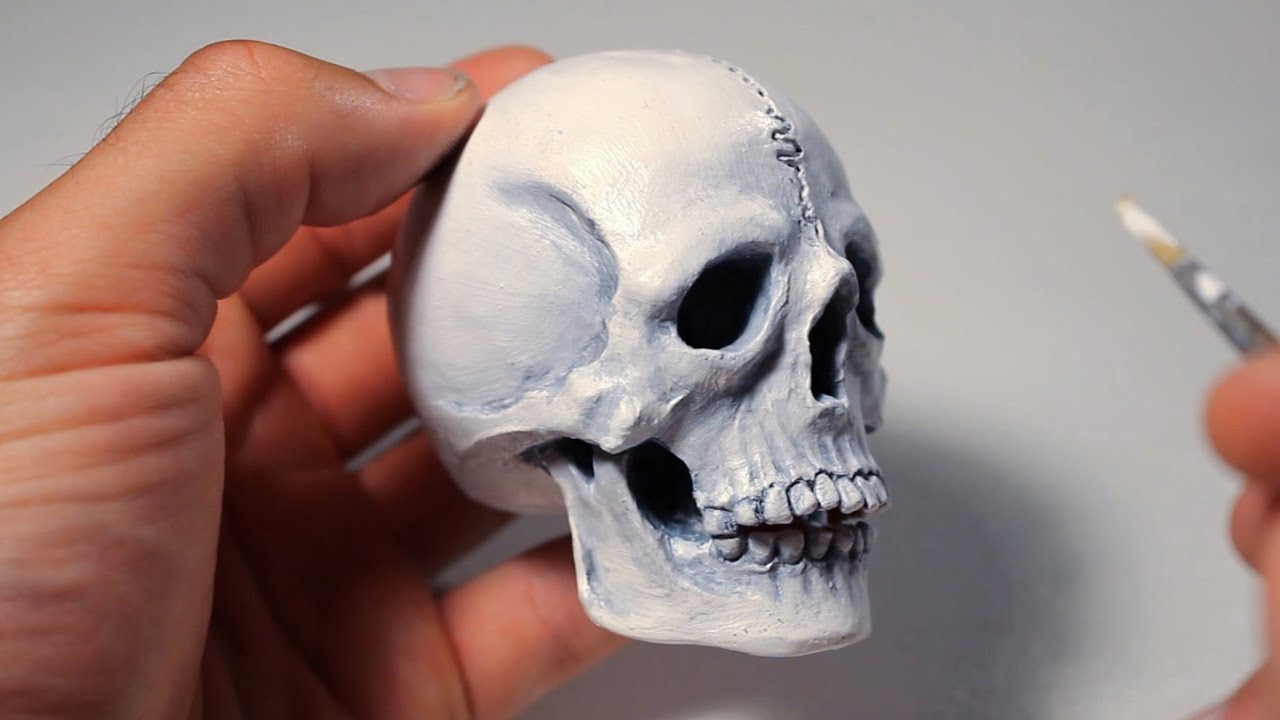 Human Skull Sculpting Process Youtube Sculpting Clay Polymer Clay Creations Sculpting Tutorials