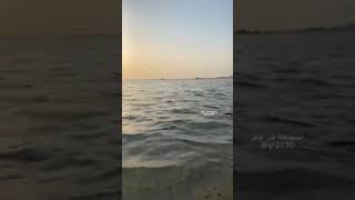 شاطئ زكريت في قطر ‏Zekreet beach in Qatar