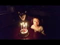 叔母の誕生日ですがね