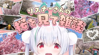 Chau Ch.雪兎ちゃうの配信のサムネイル画像