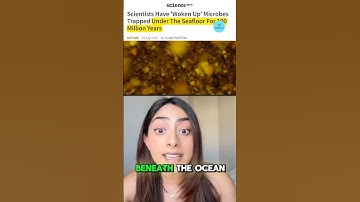 THIS was found inside of a 2 Billion Year Old Rock 🪨