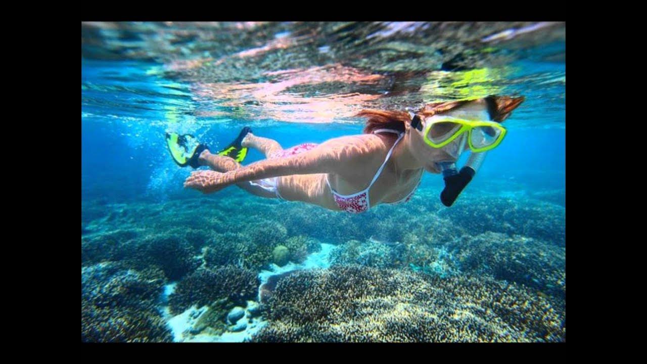 TYPICALLY TROPICAL BARBADOS TYPICALLY TROPICAL BARBADOS