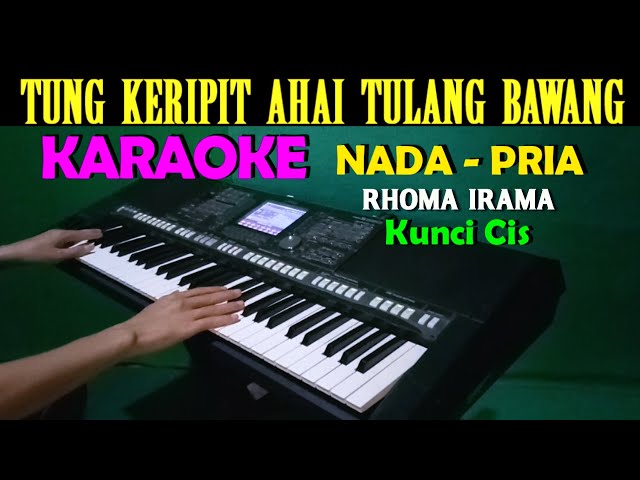 TUNG KERIPIT - Rhoma Irama | KARAOKE Nada Pria || CIS=DO class=