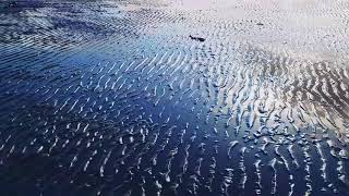 Men I Trust - Found Me