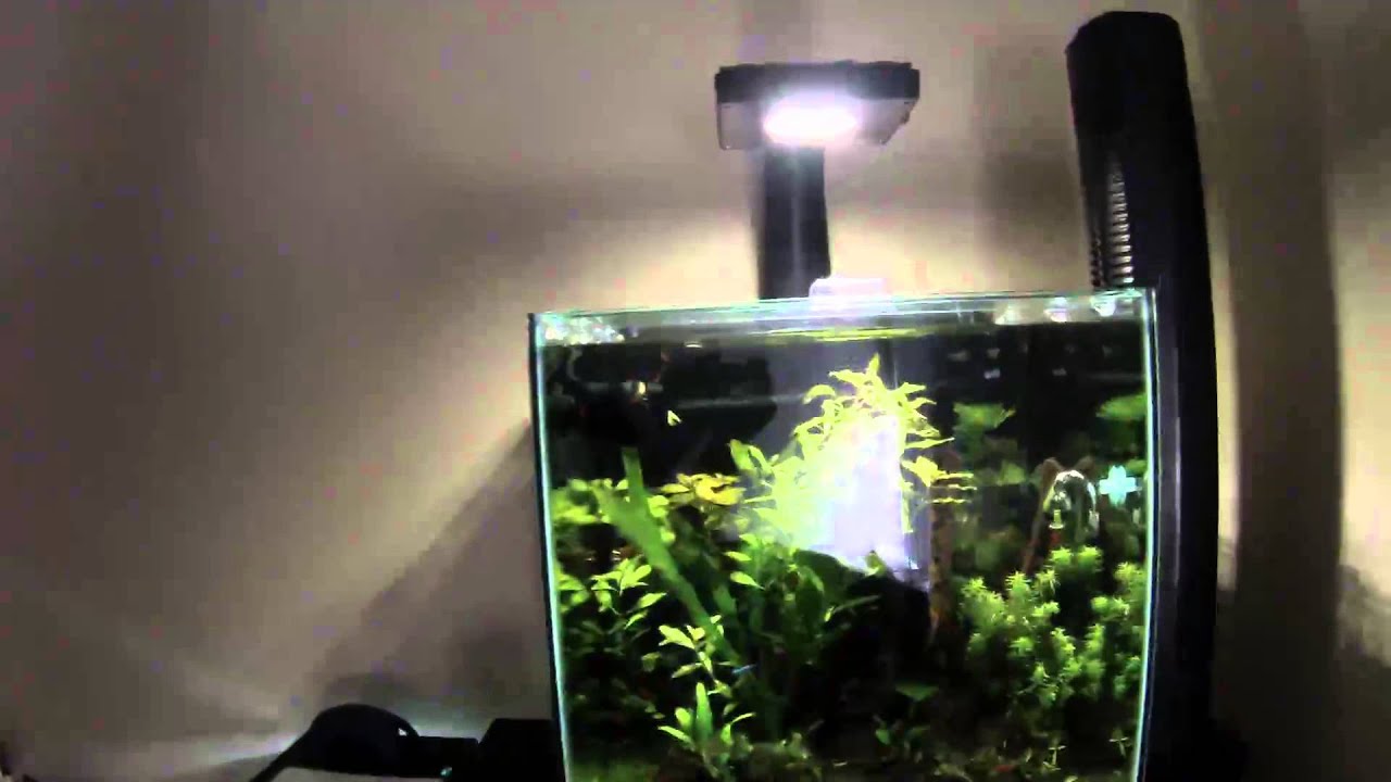 ecotech marine xr15 fw