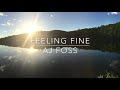 Feeling fine  aj foss