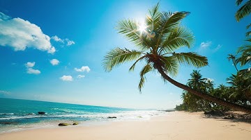 تجميع لأجمل وأوضح التلاوات للشيخ نايف الفيصل