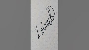 Calligraphy #handwriting #lettering #writing #signature #art #shortvideo ☆Zeinab☆