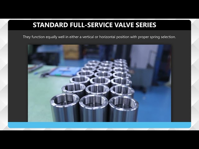 Check All Valve Manufacturing Co