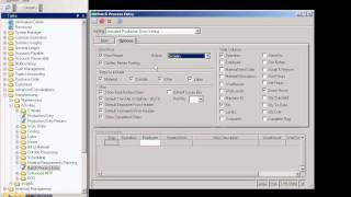 Anytime 500 - Batch Process Production Entry