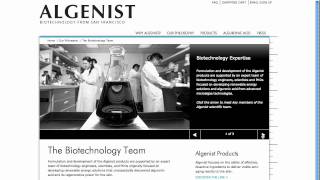 MB/I Behind the Screens: Using Slideshows