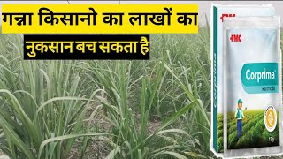 गन्ने में Corprima का प्रयोग