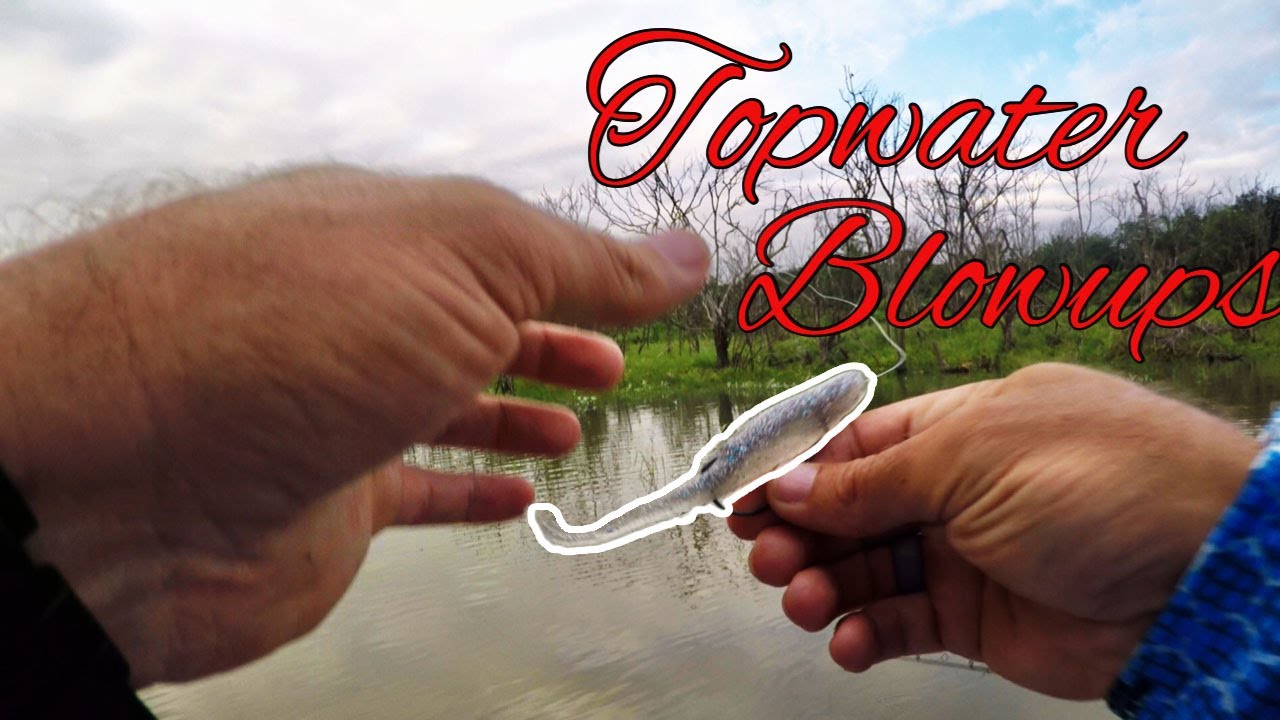 Topwater Bass Fishing Blowups, Hazelmere. South Africa. YouTube