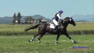 509XC Jordan Linstedt on Staccato SR Open Novice Cross Country Rebecca Farm July 2016