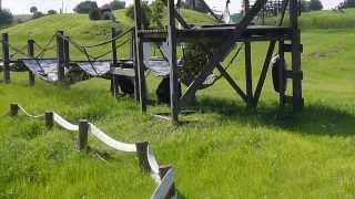 J R 's first time out - Save the Chimps