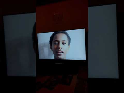 רצחתי את התרנגול 