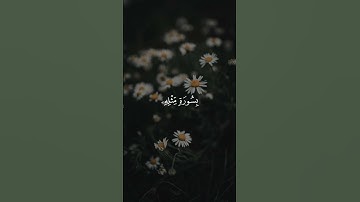 سورة يونس 38 | عبدالرحمن مسعد [قراءة 2023]