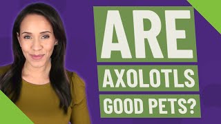Are Axolotls good pets?