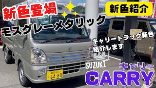 Introducing a new color! Suzuki CARRY trucks now available in a
